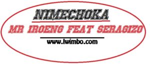 Mr Iro feat Seragizo  - Nimechoka